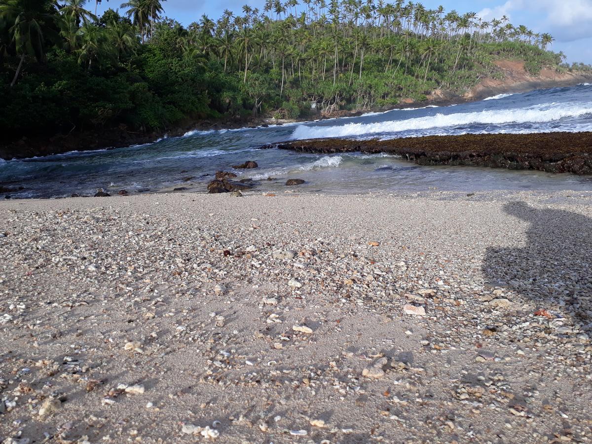 Sea Shine Beach Resort Mirissa Exterior photo